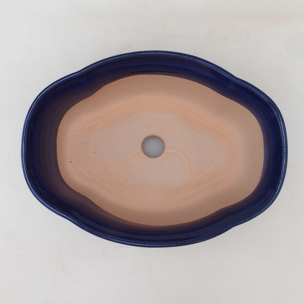 Coupe Bonsaï H75 - 19 x 14 x 6,5 cm - bleu