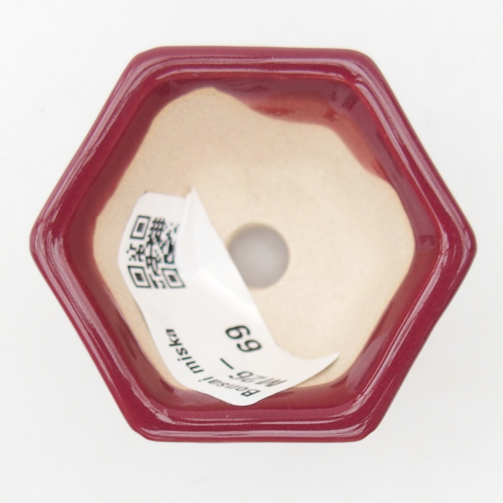 Mini bol bonsaï 5 x 4,5 x 3 cm, bordeaux
