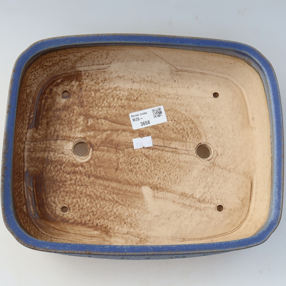 Pot à bonsaï en céramique 29 x 23 x 7 cm, couleur bleue