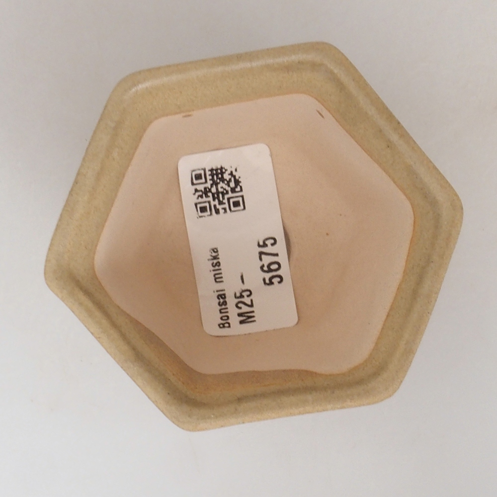 Mini bol bonsaï 7 x 7 x 5 cm, brun