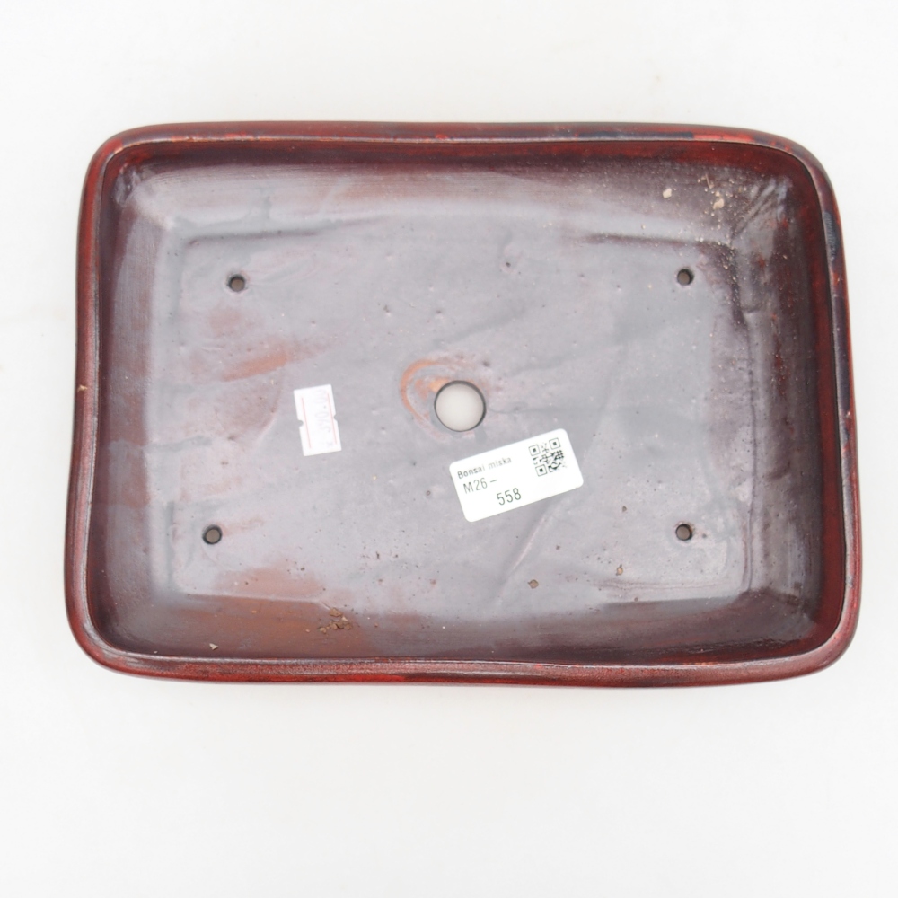 Bol à bonsaï en céramique 24 x 17,5 x 4 cm, couleur rouge