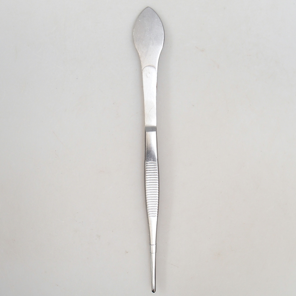 Spatule et pince 22 cm - acier inoxydable