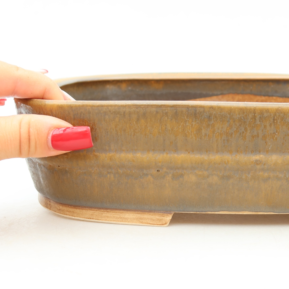 Pot à bonsaï en céramique 24,5 x 20,5 x 6,5 cm, couleur marron