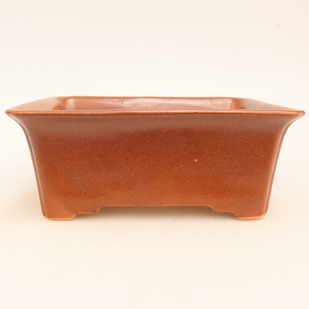 Pot à bonsaï en céramique 18 x 14 x 7 cm, couleur bordeaux