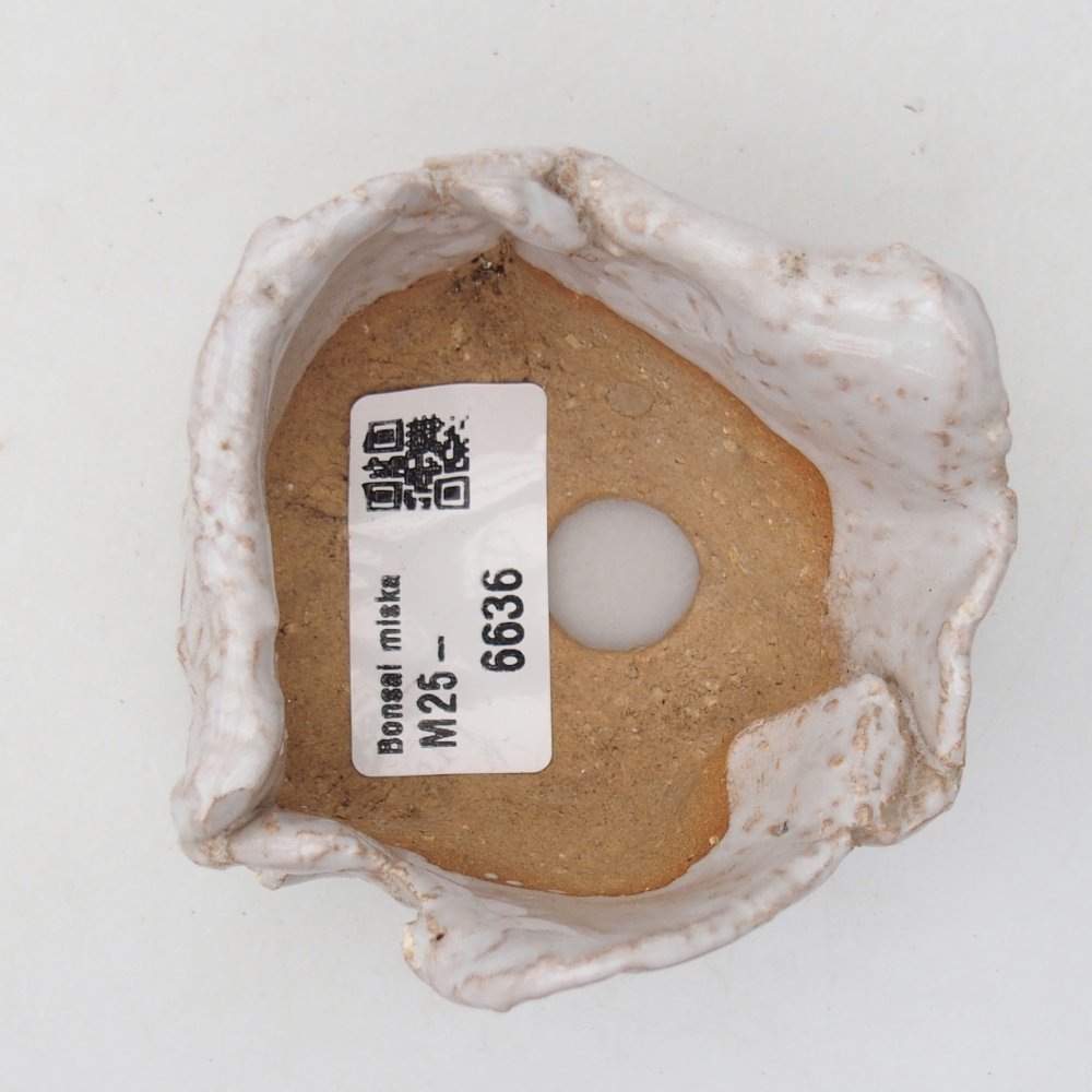 Coquille en céramique 8 x 7 x 4,5 cm , couleur blanche