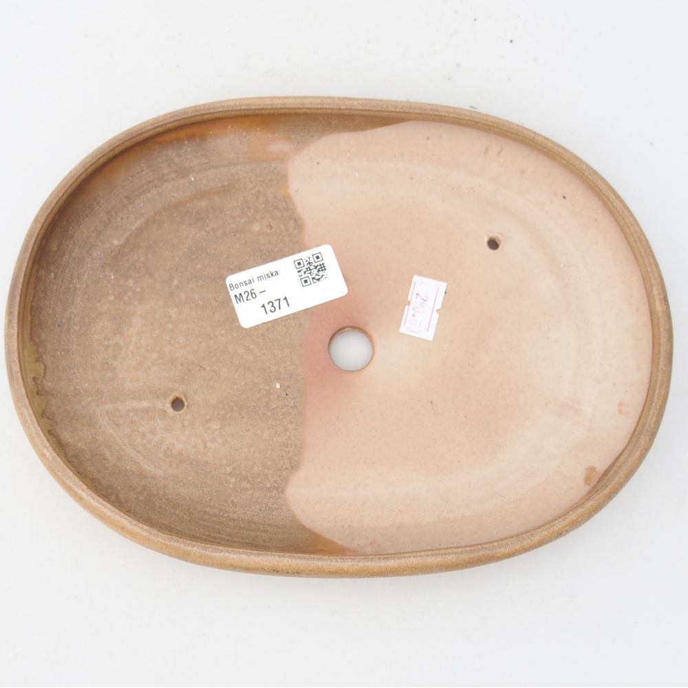 Bol à bonsaï en céramique 22,5 x 16,5 x 3 cm, couleur beige