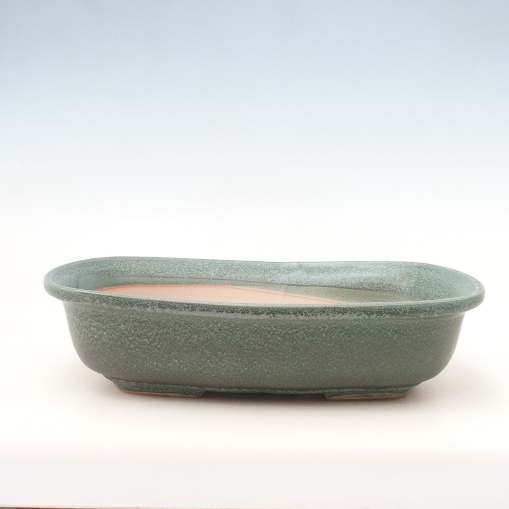 Coupe bonsaï H10 - 37 x 28 x 9 cm - vert