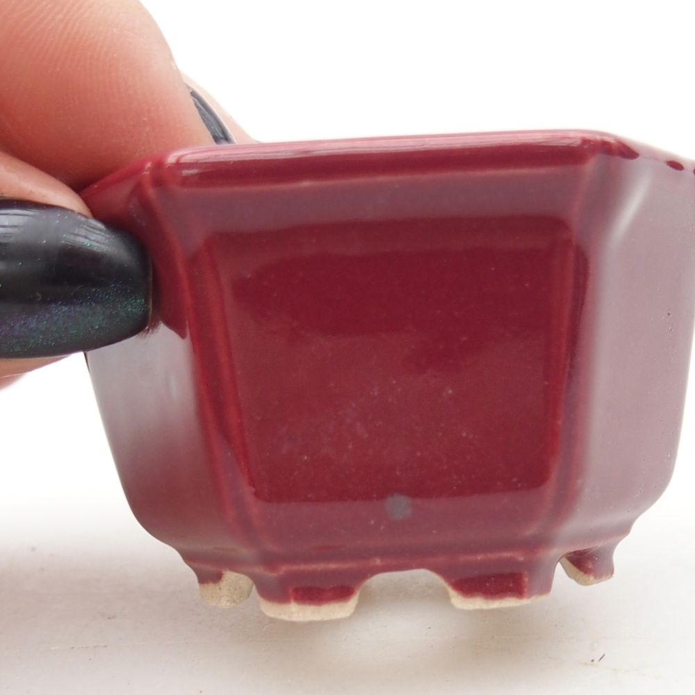 Mini bol bonsaï 5 x 4,5 x 3 cm, bordeaux
