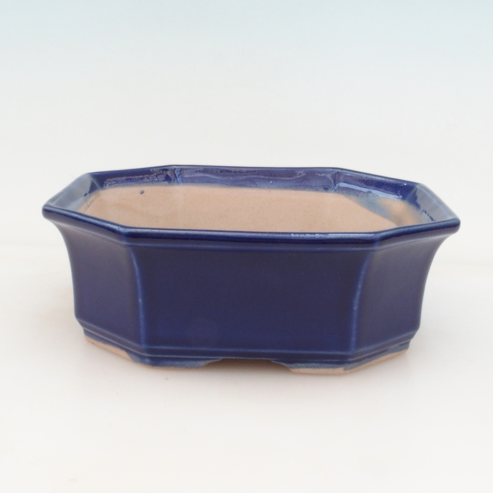 Bol à bonsaï H14 - 17,5 x 17,5 x 6