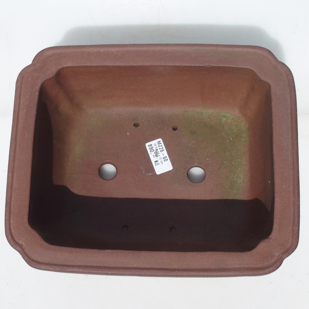 Bol pour bonsaï 29,5 x 24 x 12 cm