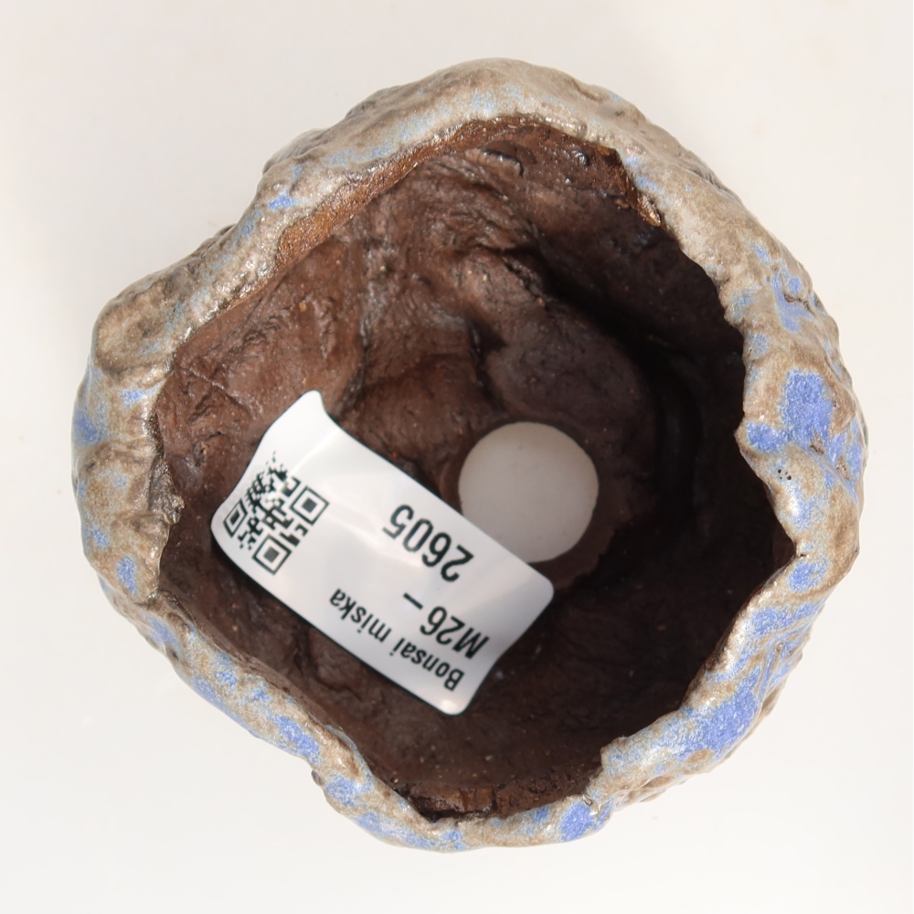Coquille en céramique  7 x 7 x 5 cm, couleur bleu-brun