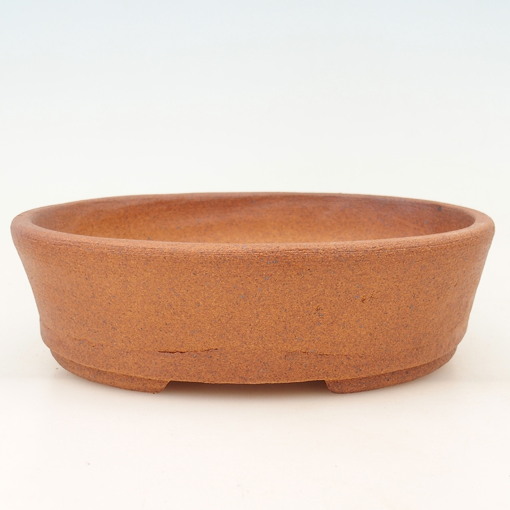 Bol à bonsaï 20 x 16 x 6 cm , couleur marron