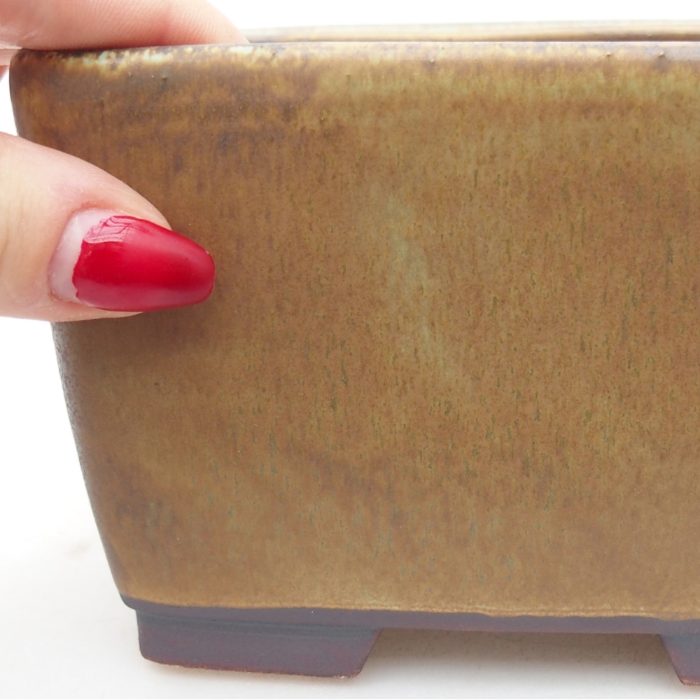 Bol à bonsaï en céramique 12,5 x 12,5 x 8 cm, vert