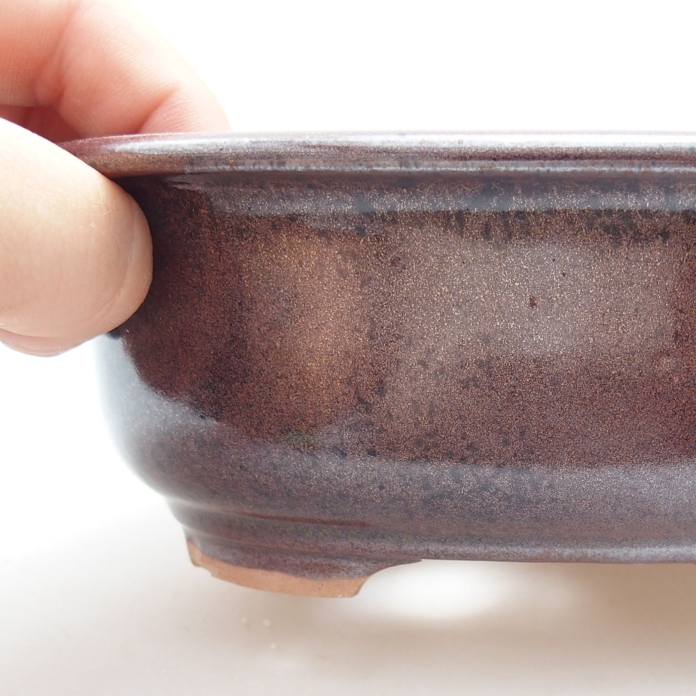 Bol à bonsaï en céramique 22 x 17 x 5 cm, vert