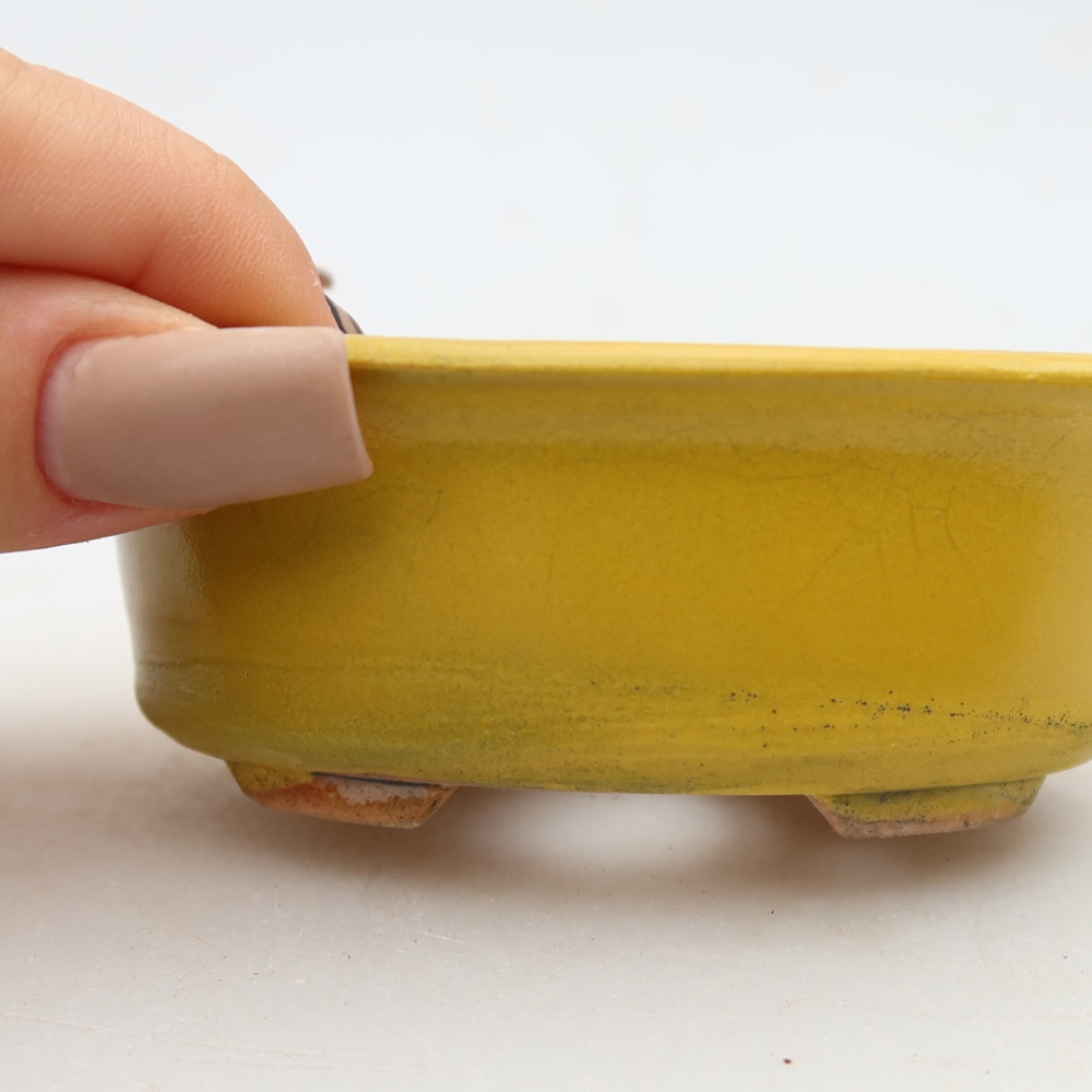 Pot à bonsaï en céramique 9,5 x 6,5 x 3 cm, couleur jaune