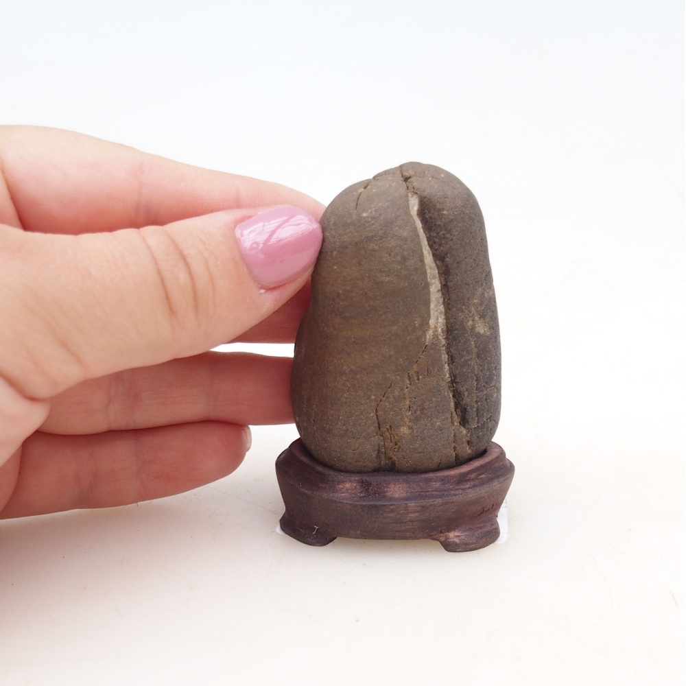 Suiseki - Pierre avec DAI (base en bois)