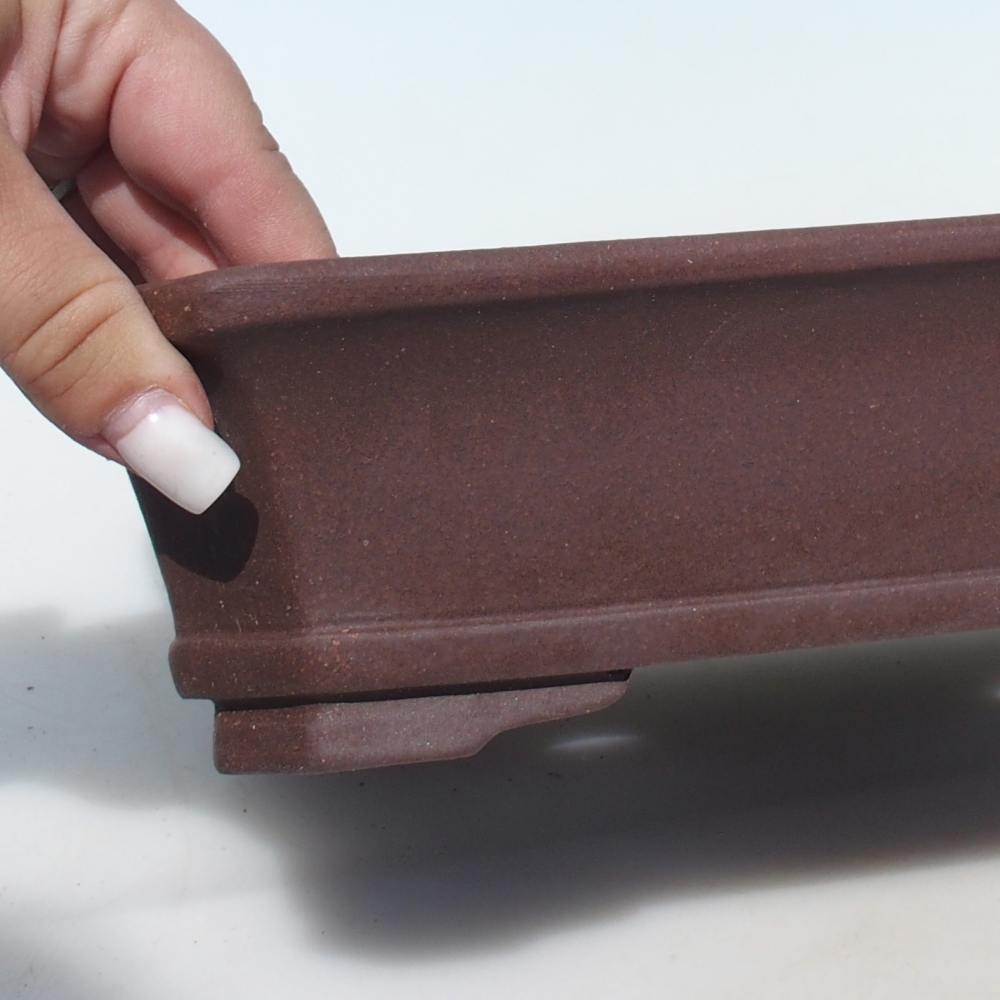 Bol pour bonsaï 30,5 x 24,5 x 7 cm bouleau brun