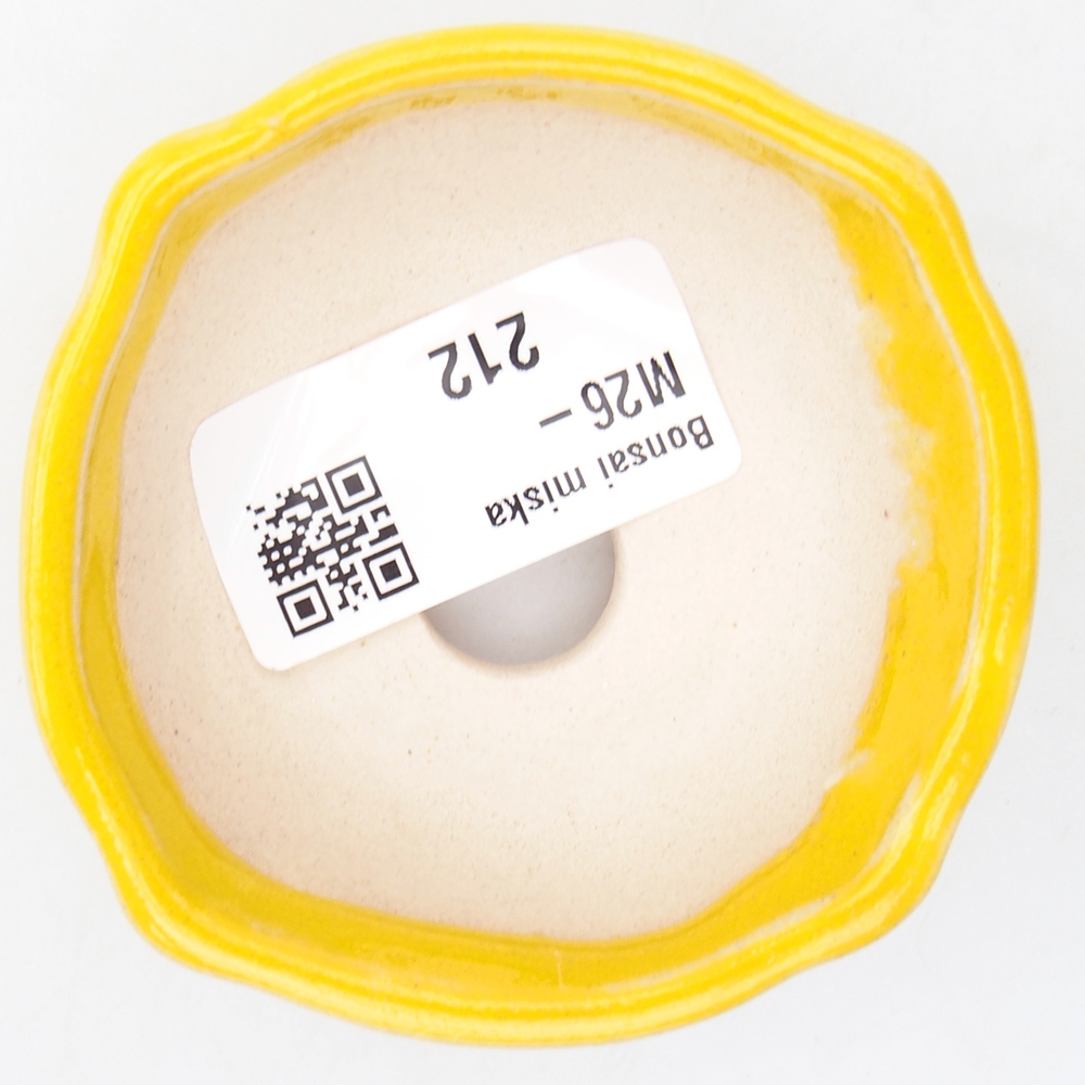 Mini bol bonsaï 6,5 x 6,5 x 2,5 cm, jaune
