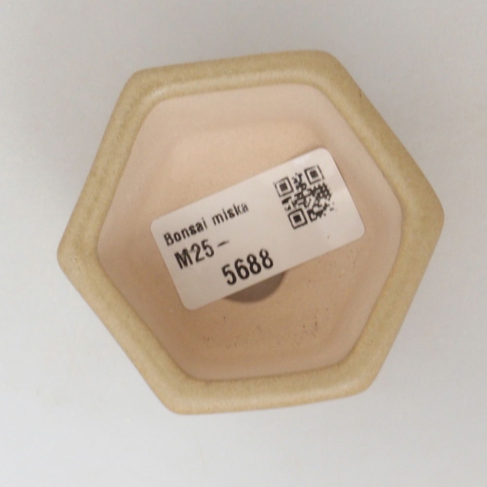 Mini bol à bonsaï 6,5 x 6 x 4 cm, brun