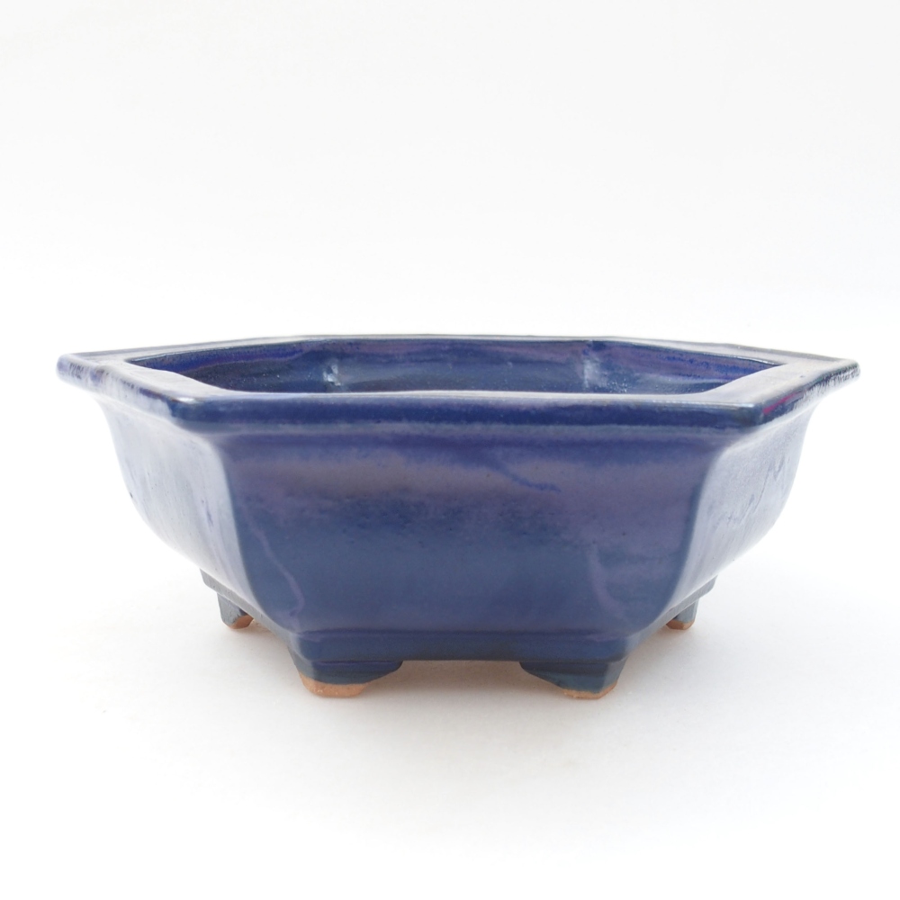 Bol à bonsaï en céramique 22 x 17 x 5 cm, vert