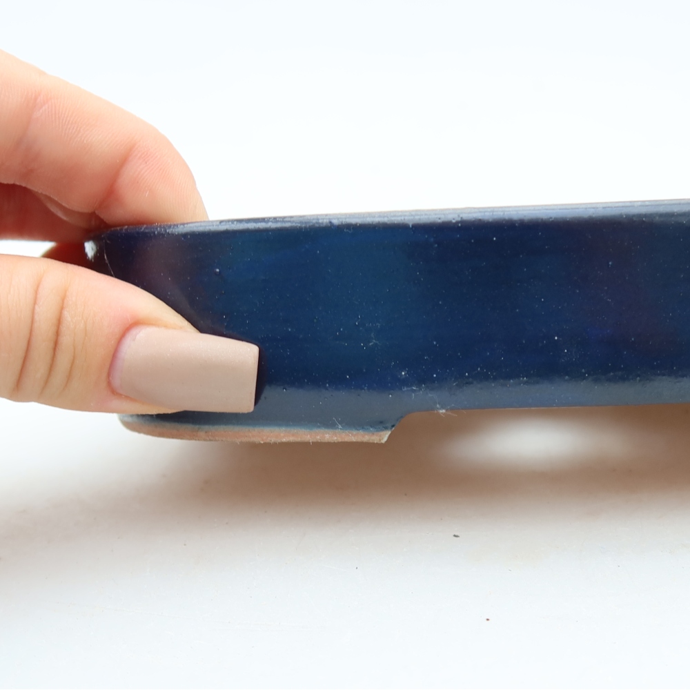 Bol à bonsaï en céramique 16 x 11 x 3,5 cm, couleur bleu