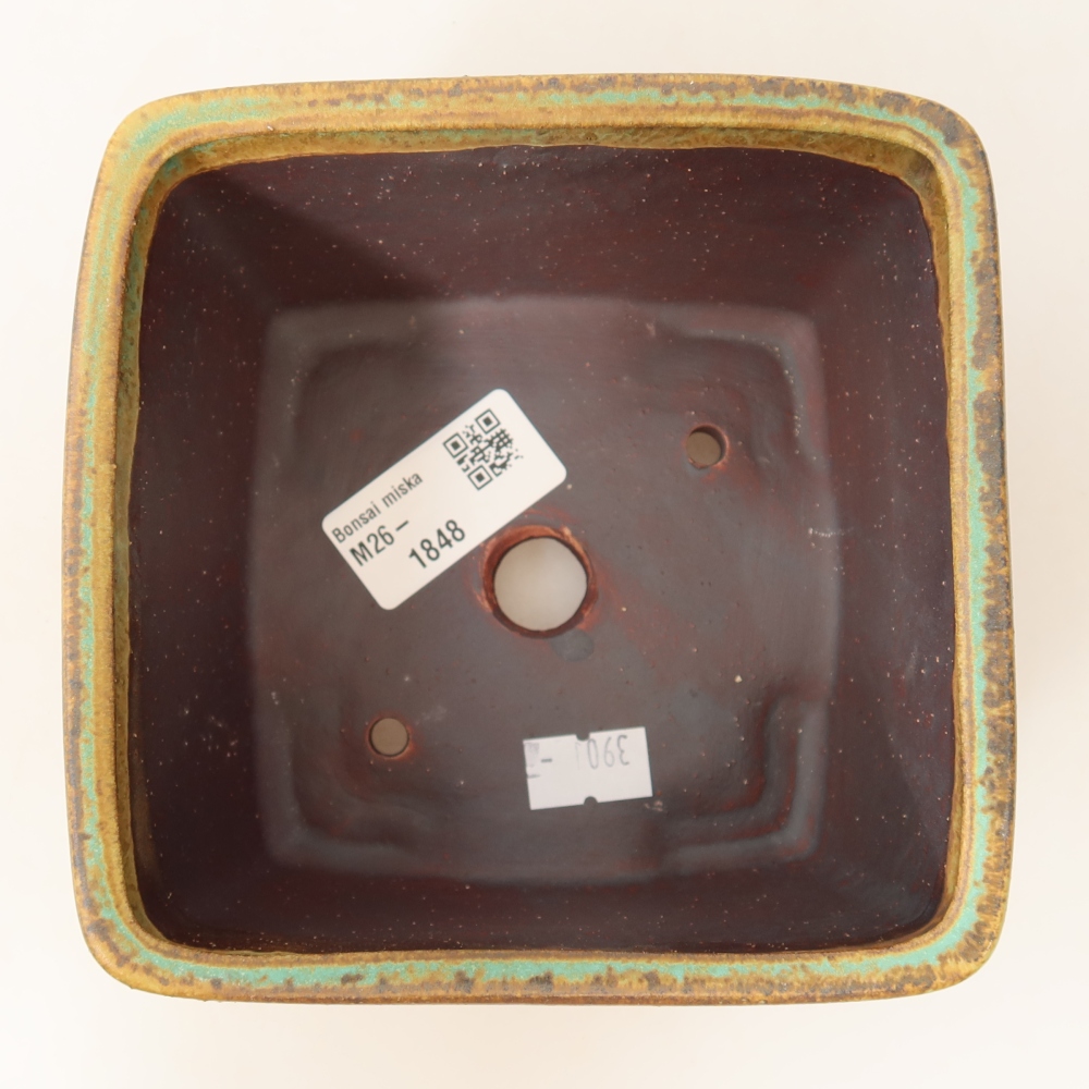 Bol à bonsaï en céramique 13 x 13 x 8 cm, vert