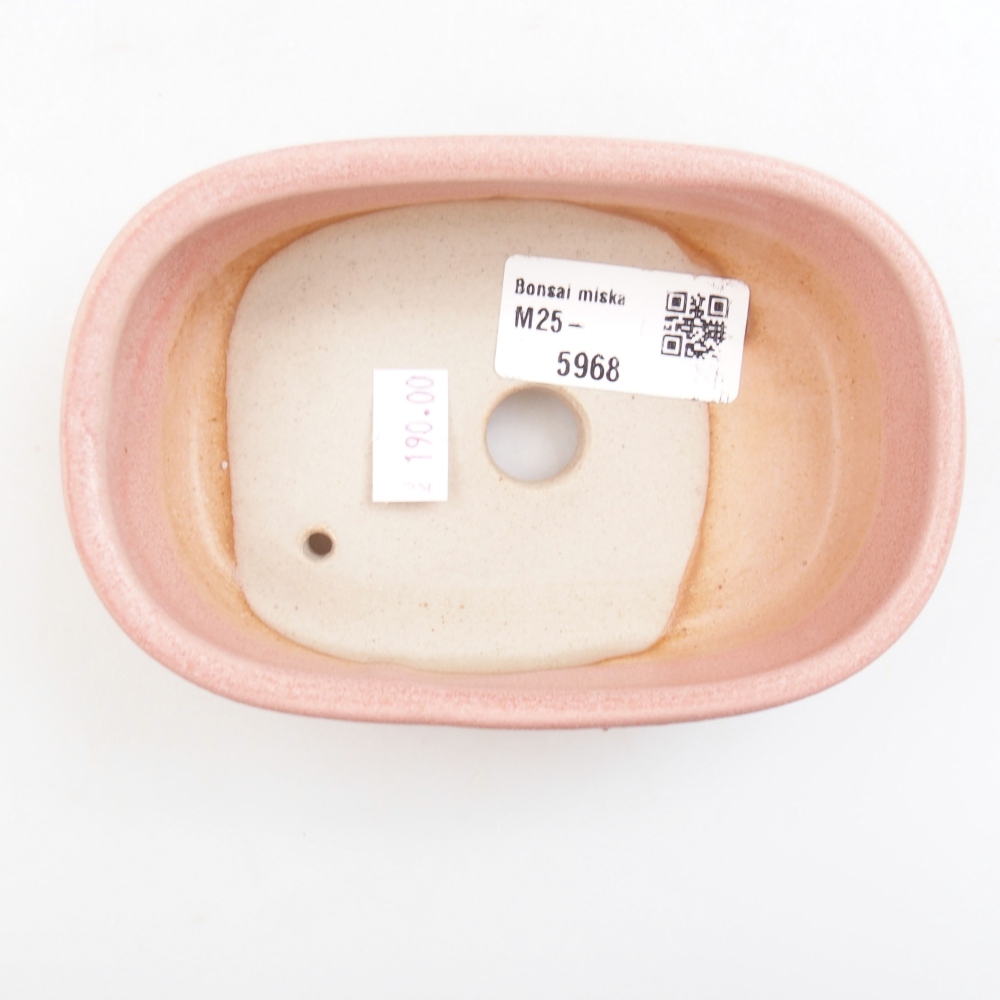 Bol à bonsaï en céramique 22 x 17 x 5 cm, vert