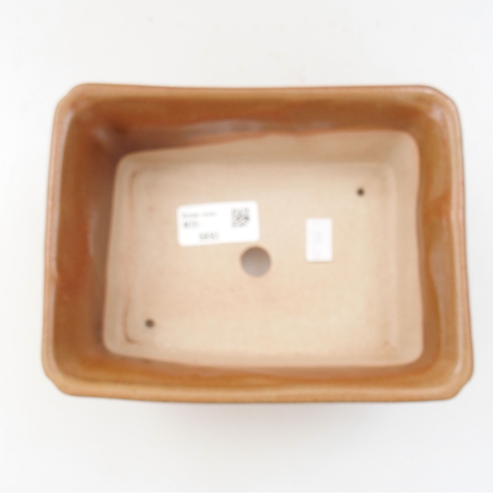 Bol à bonsaï en céramique 22 x 17 x 5 cm, vert