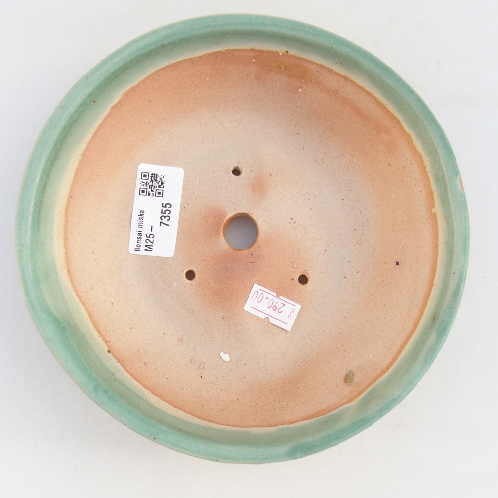 Bol à bonsaï en céramique 17,5 x 17,5 x 5 cm, vert