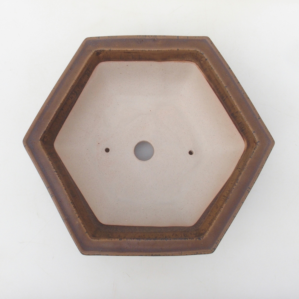 Coupe bonsaï H53 - 19 x 21,5 x 7 cm - marron