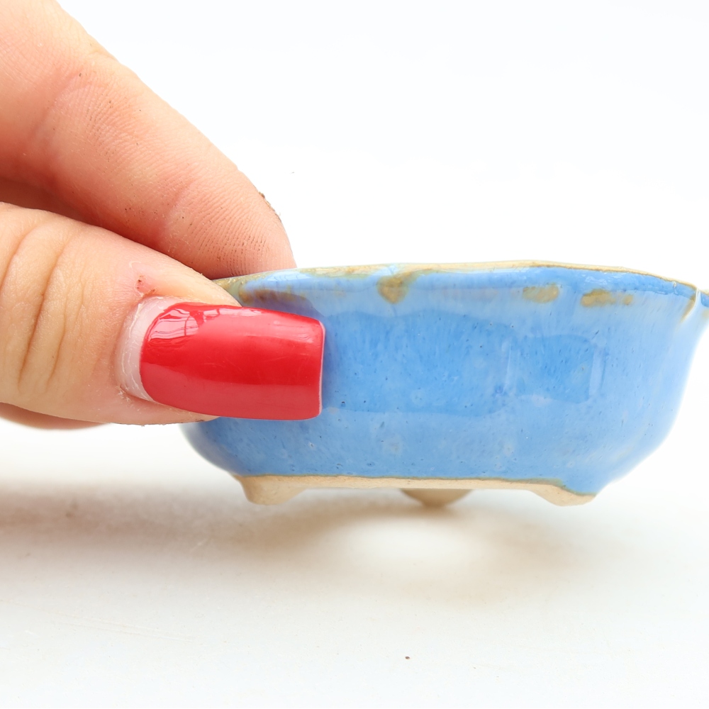 Pot à bonsaï en céramique 7 x 7 x 2,5 cm, couleur bleue
