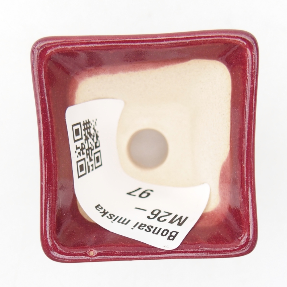 Mini bol bonsaï 4 x 4 x 3,5 cm, bordeaux