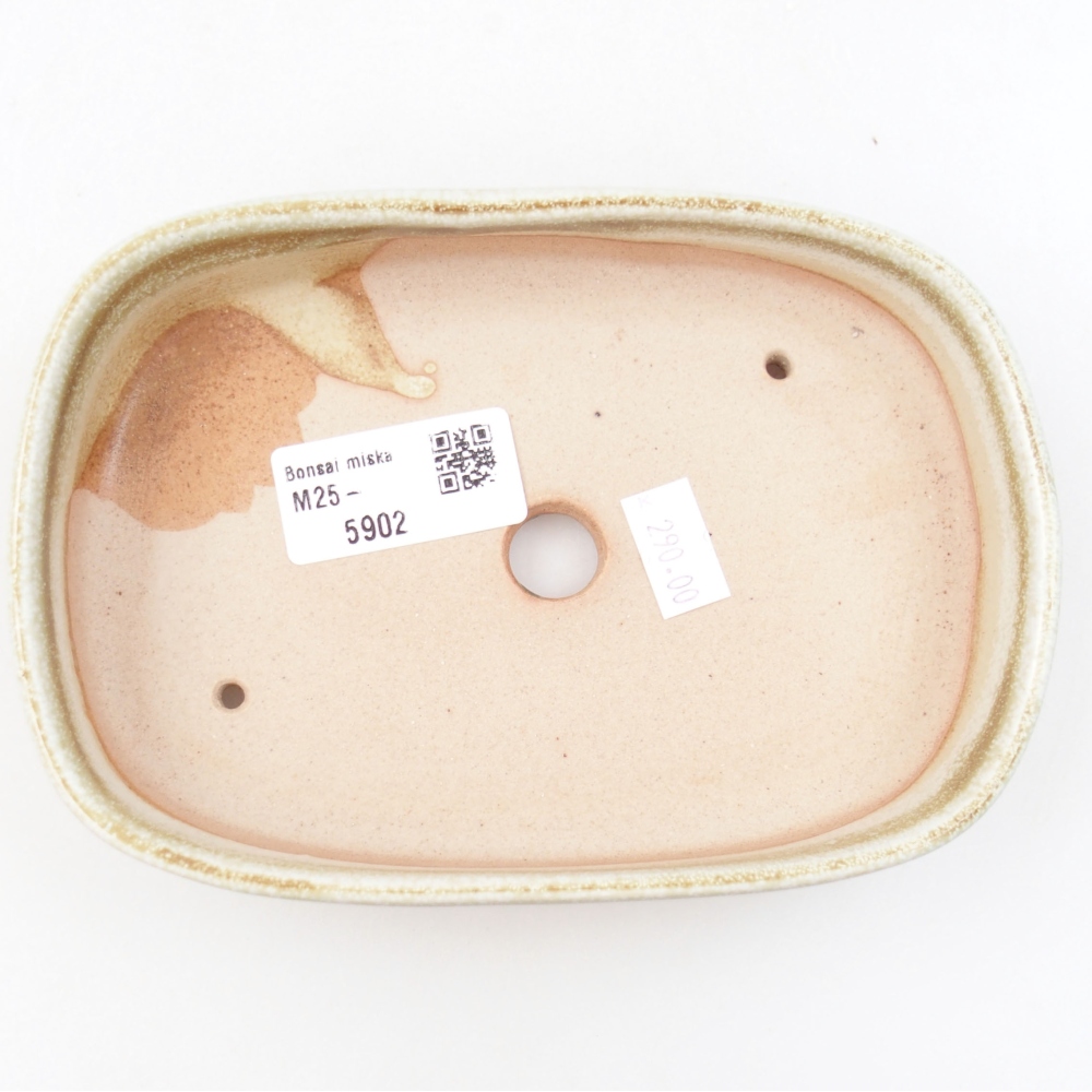 Bol à bonsaï en céramique 22 x 17 x 5 cm, vert