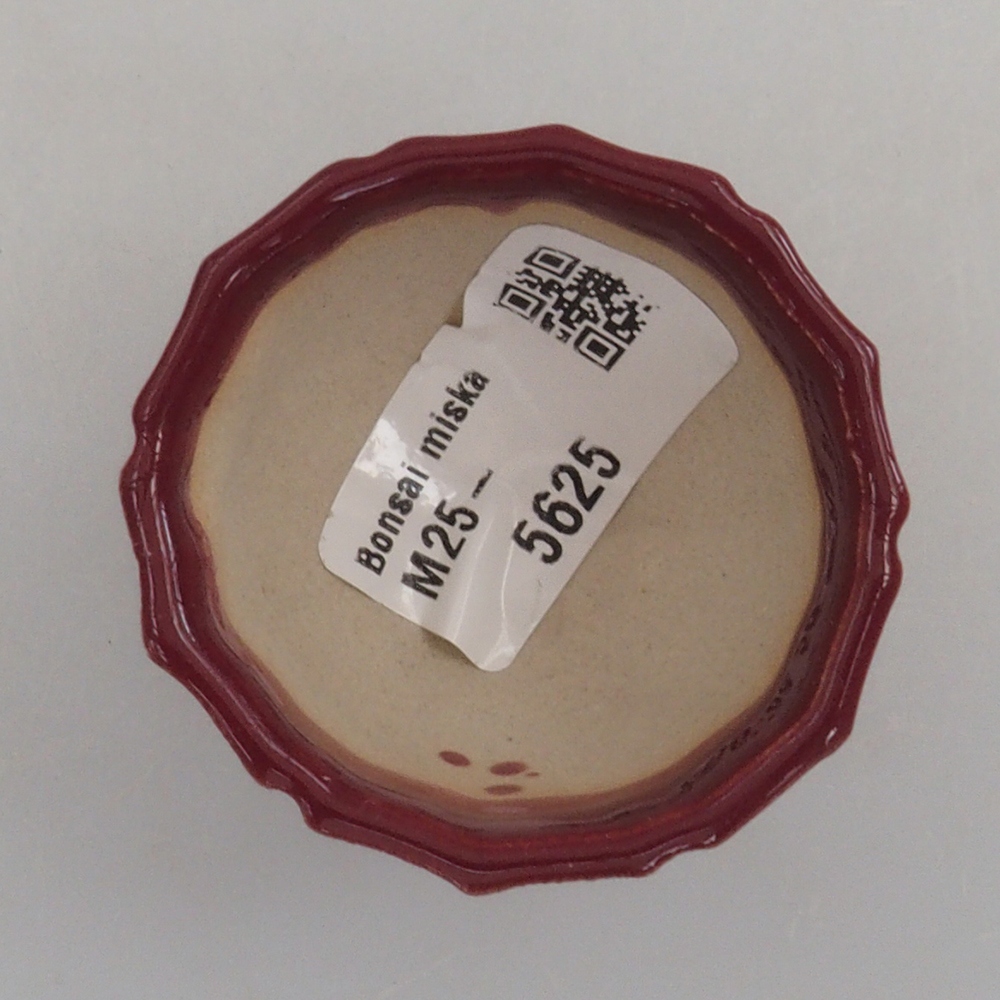 Mini bol bonsaï 5 x 5 x 3 cm, bordeaux