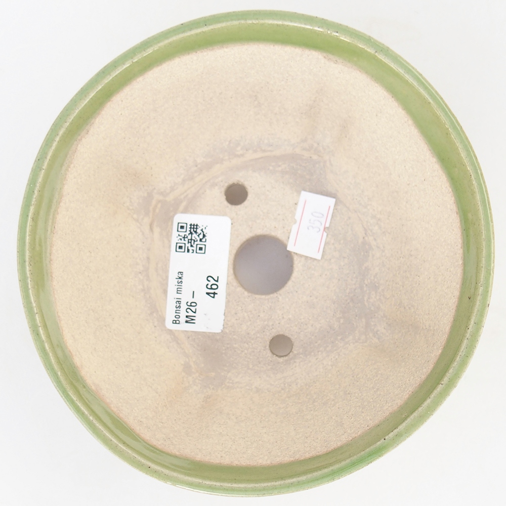 Bol à bonsaï en céramique 13,5 x 13,5 x 6,5 cm, vert