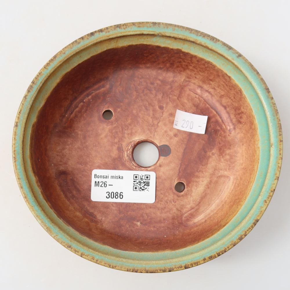 Pot à bonsaï en céramique 15,5 x 14,5 x 4 cm, couleur verte