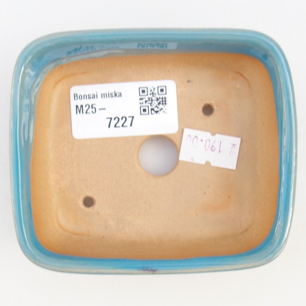 Bol à bonsaï en céramique 9,5 x 8 x 3,5 cm, couleur bleu