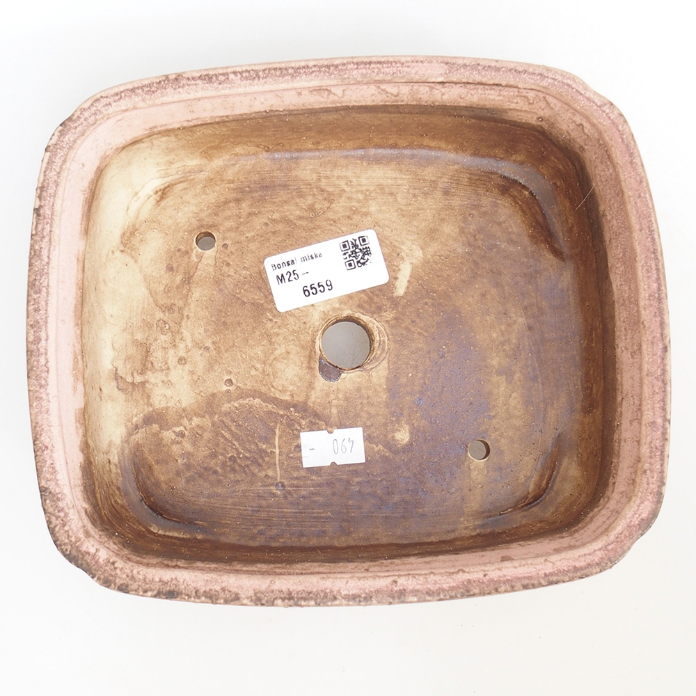 Bol à bonsaï en céramique 20 x 17 x 6 cm, rose