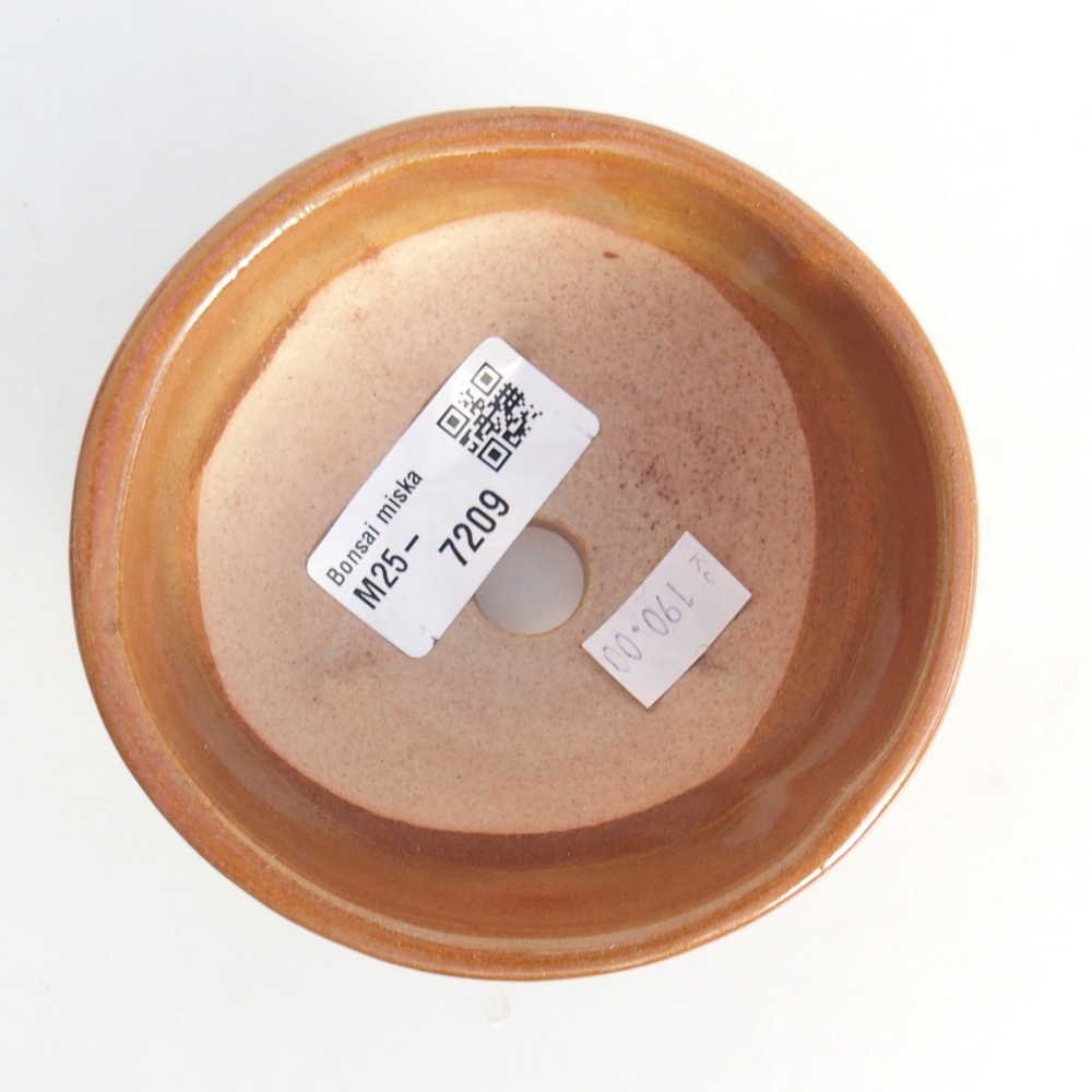 Bol à bonsaï en céramique 10 x 10 x 5 cm, brun