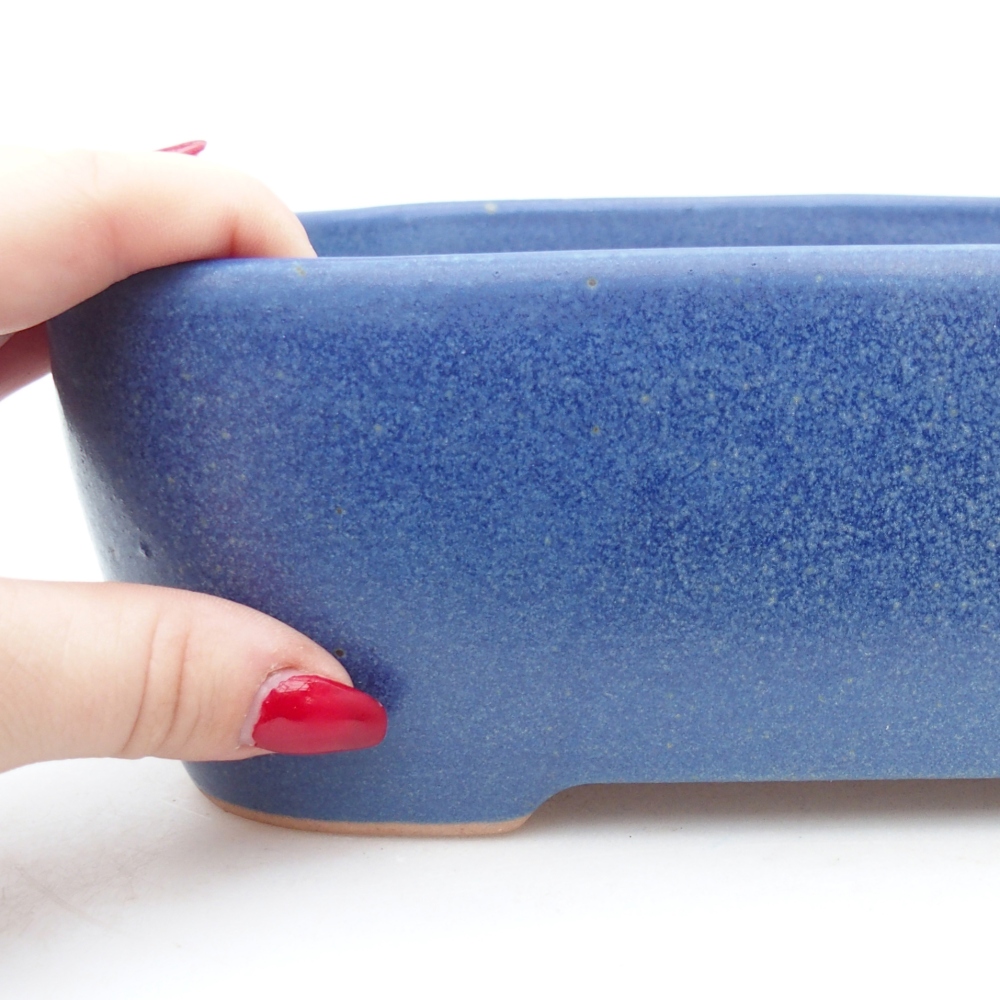 Bol à bonsaï en céramique 23 x 17 x 7,5 cm, couleur bleu