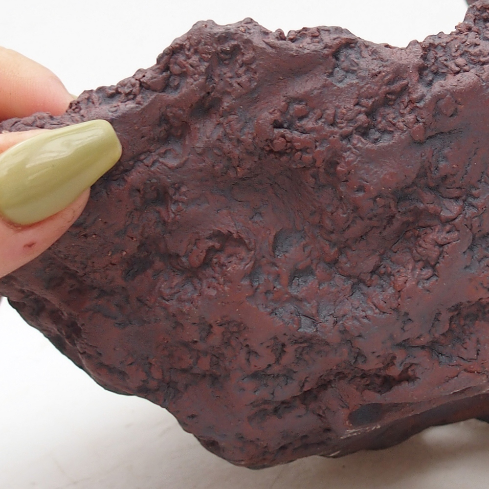 Coquille en céramique 14 x 12,5 x 12 cm , couleur marron