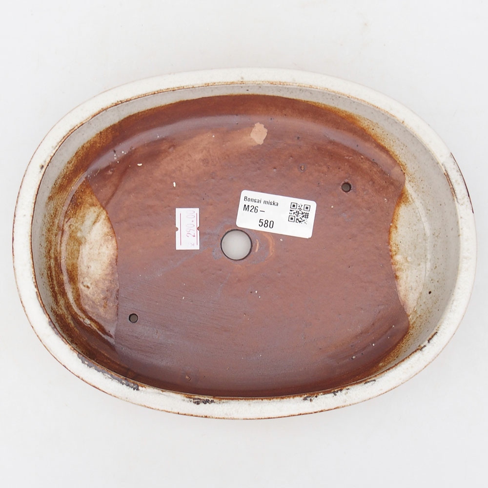 Bol à bonsaï en céramique 22 x 17 x 4 cm, blanc