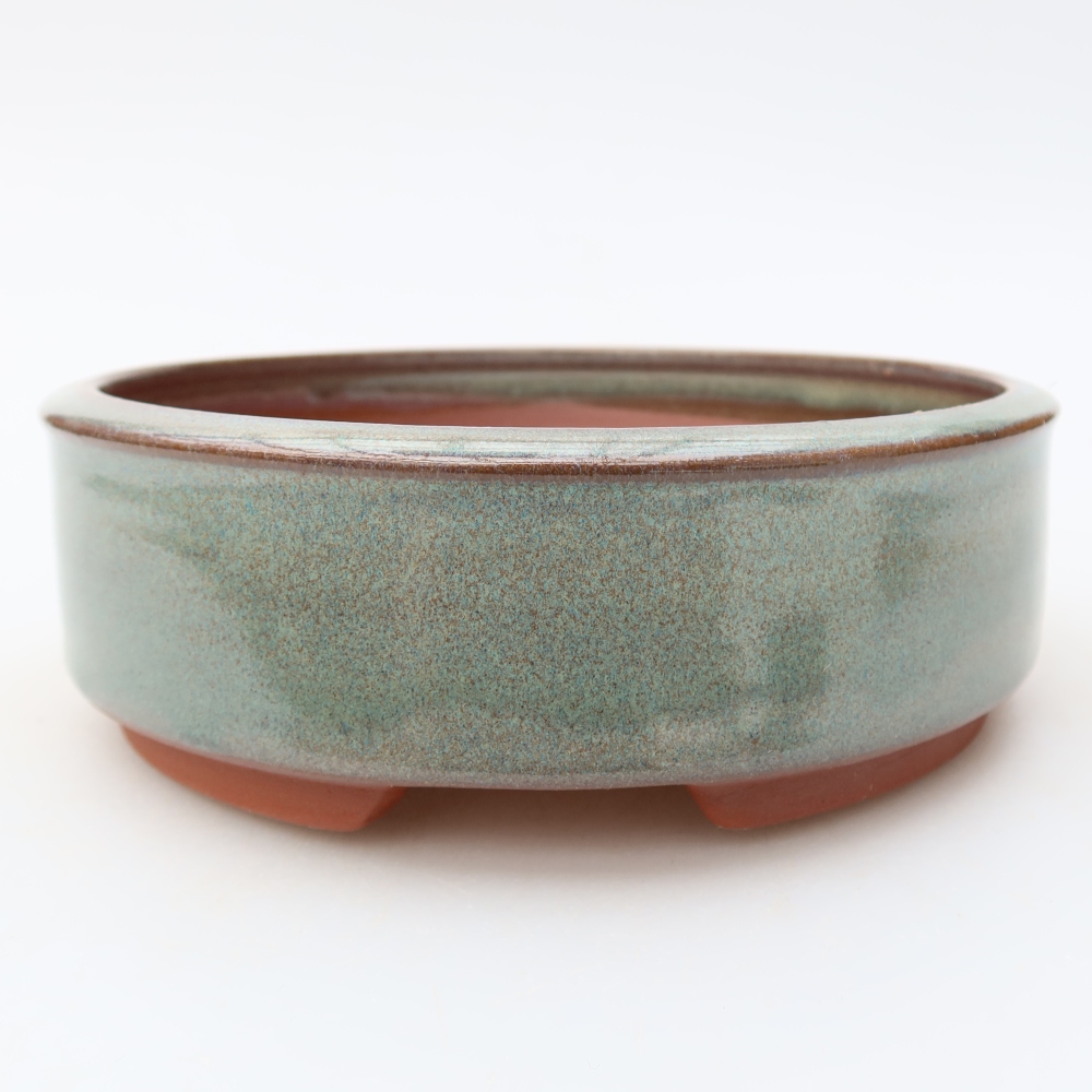Bol à bonsaï en céramique 15 x 15 x 5 cm, vert