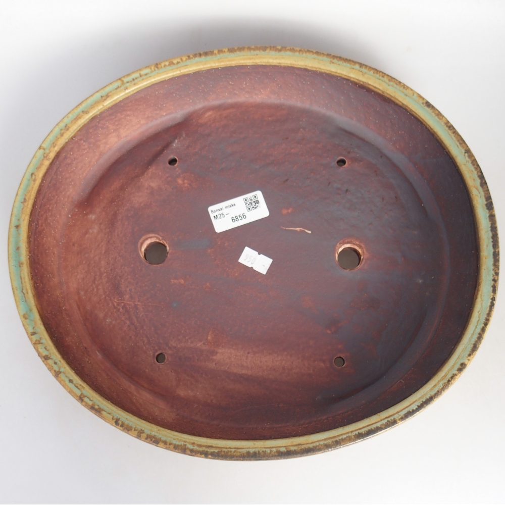 Bol à bonsaï en céramique 31,5 x 27,5 x 6,5 cm, vert