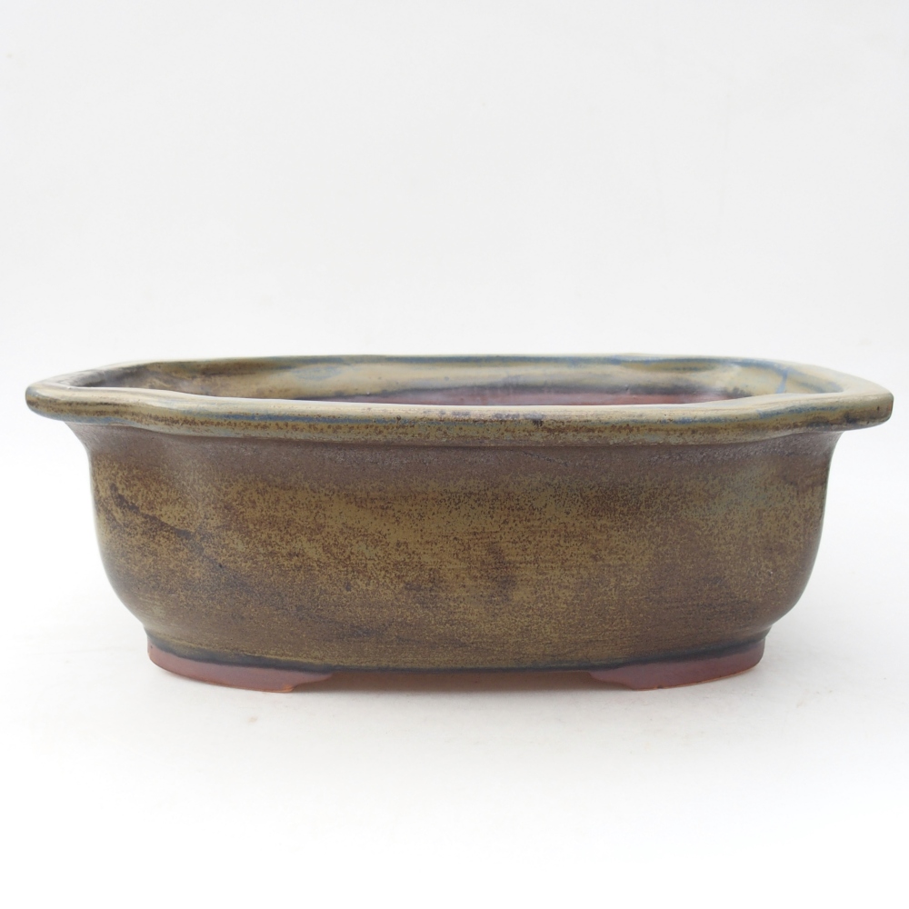 Bol à bonsaï en céramique 30 x 25 x 10 cm, couleur bleu