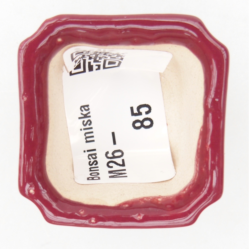 Mini bol bonsaï 3,5 x 3,5 x 2 cm, bordeaux