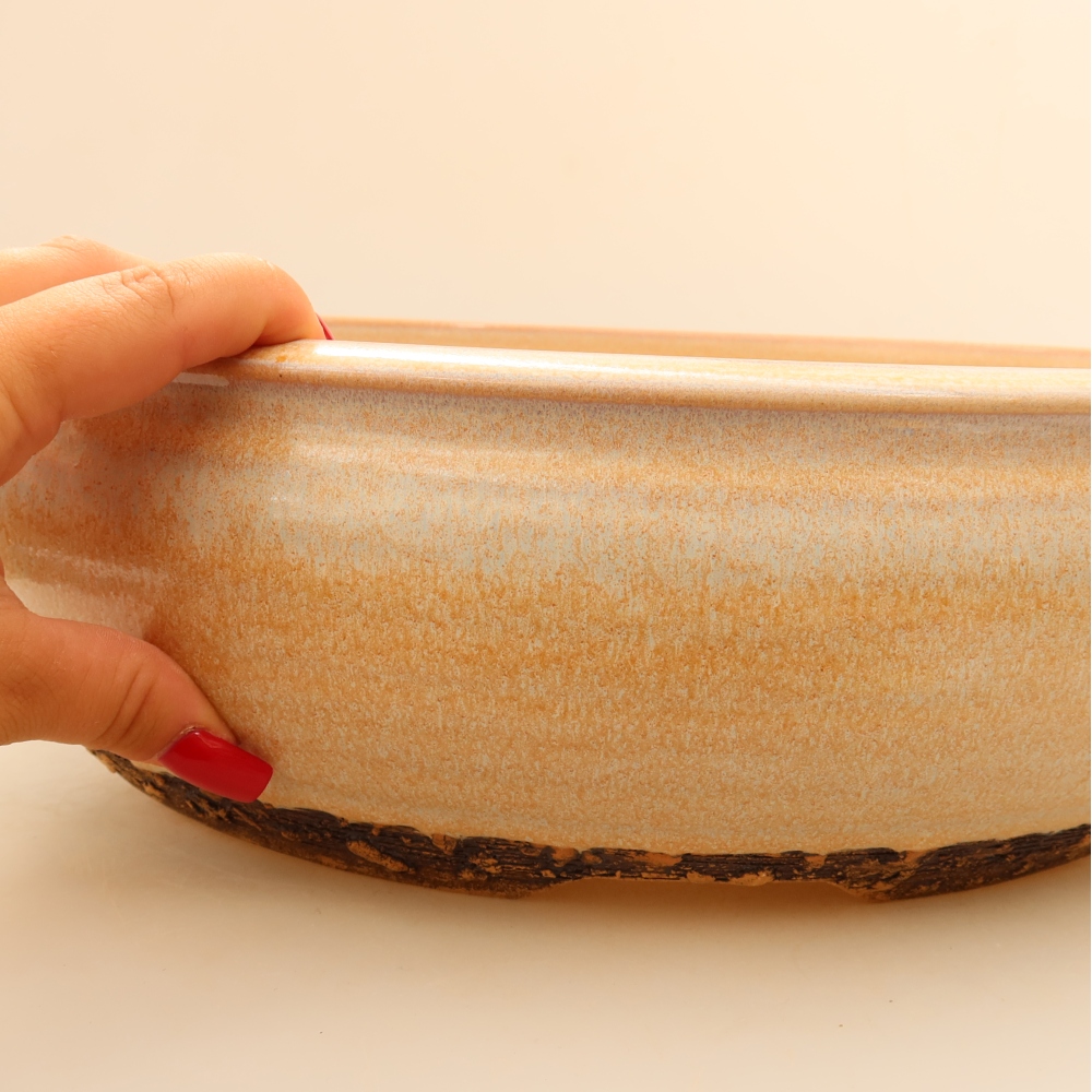 Pot à bonsaï en céramique 35 x 35 x 11 cm, couleur beige - RETRAIT SUR PLACE UNIQUEMENT ou expédition par palette