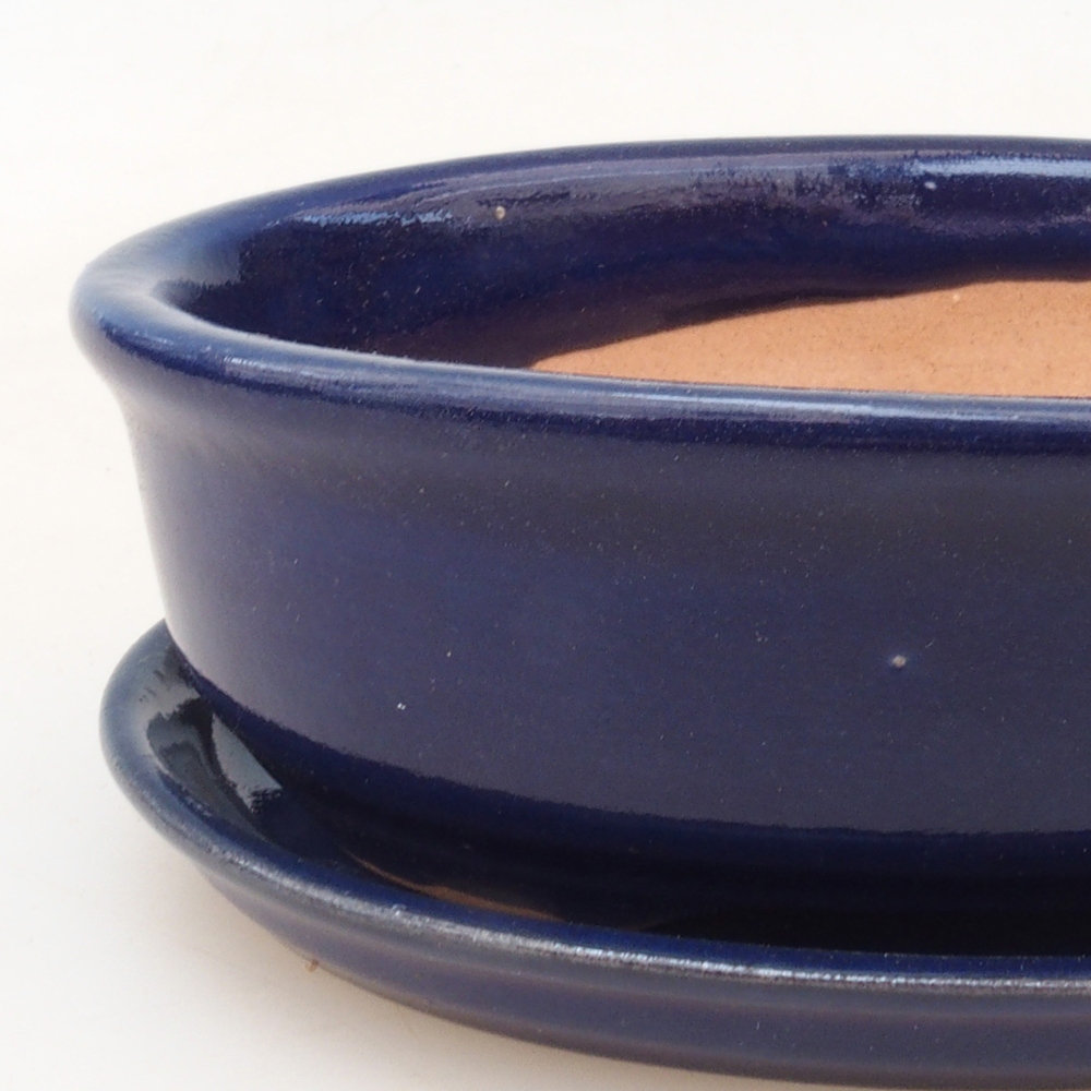 Bol Bonsaï + soucoupe H04 - bleu