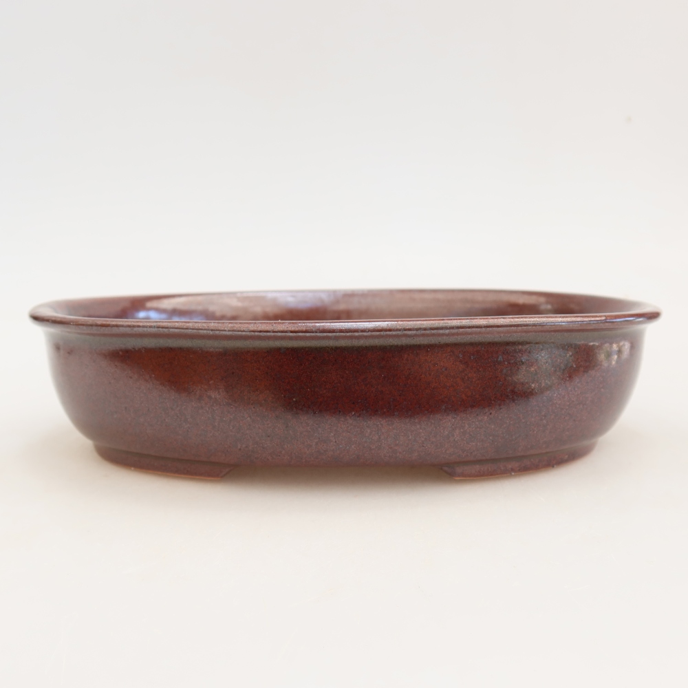 Pot à bonsaï en céramique 22 x 17 x 5 cm, couleur bordeaux