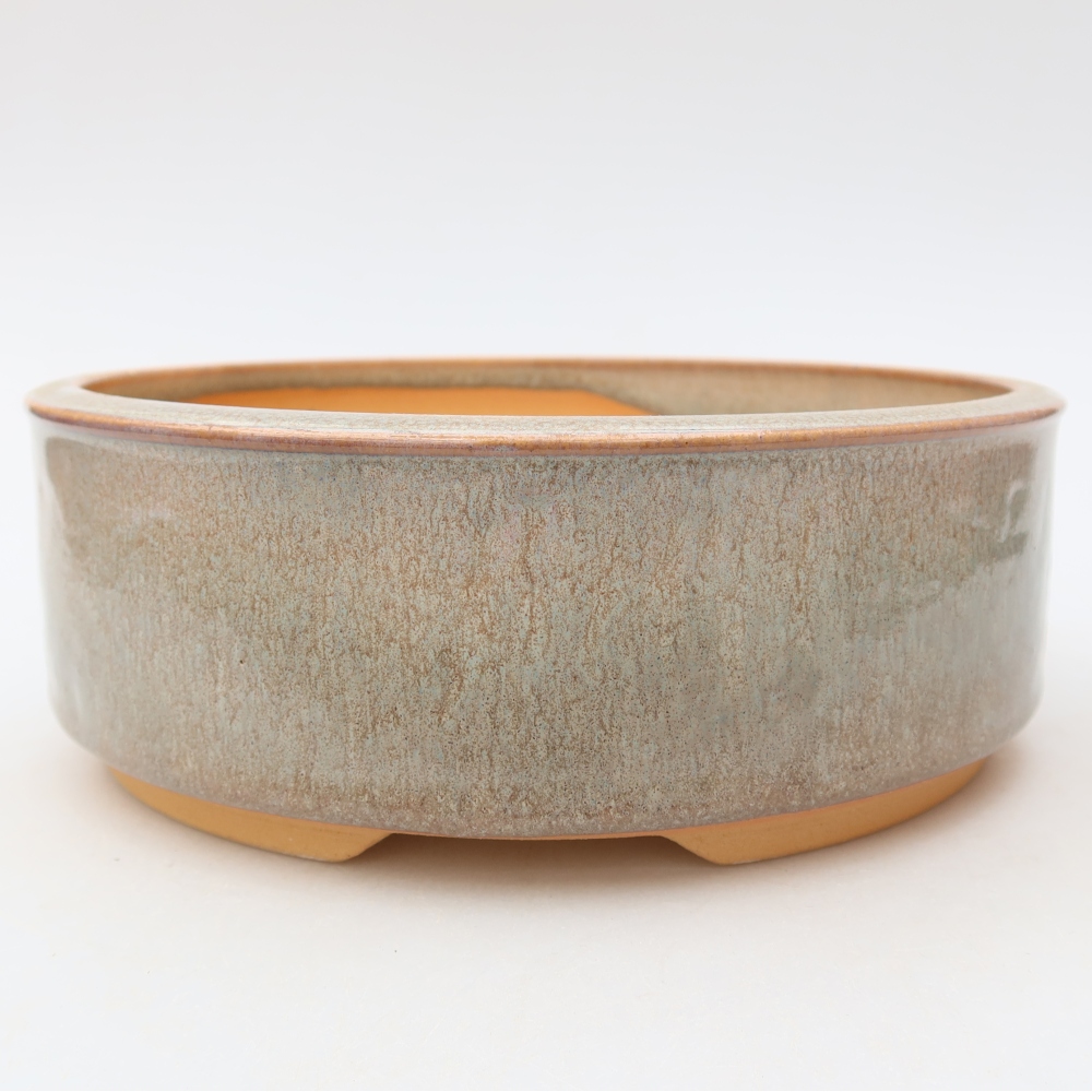 Pot à bonsaï en céramique 19 x 19 x 6,5 cm, couleur beige